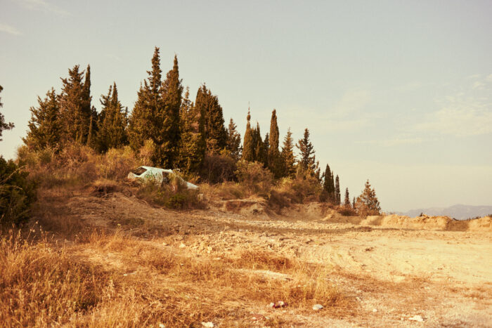 Travel landscape of a car among trees on dry terrain.